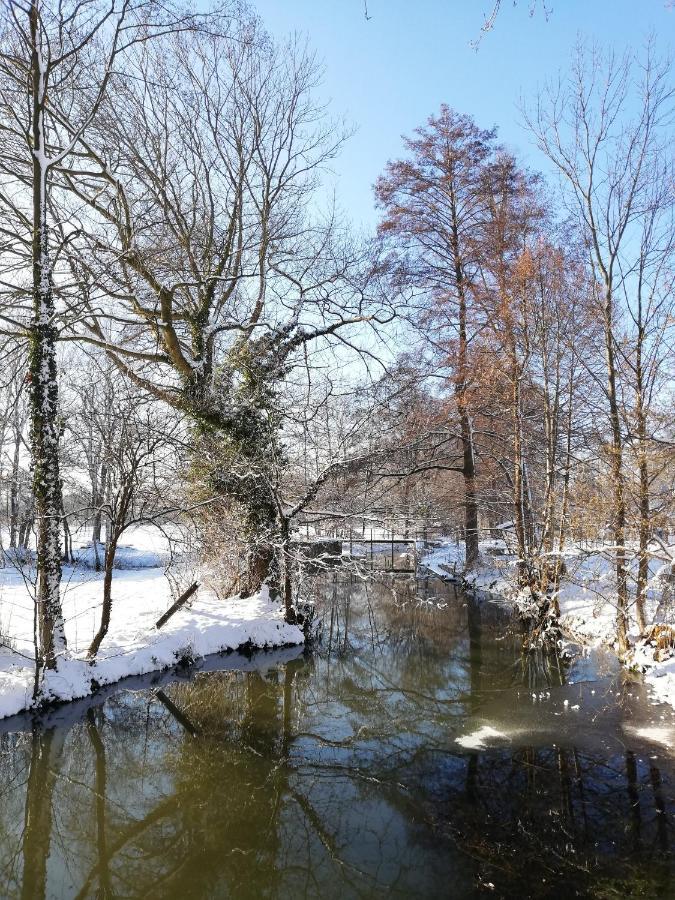 Gruener Wald Apartment Burg Kauper Bagian luar foto