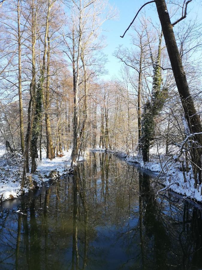 Gruener Wald Apartment Burg Kauper Bagian luar foto