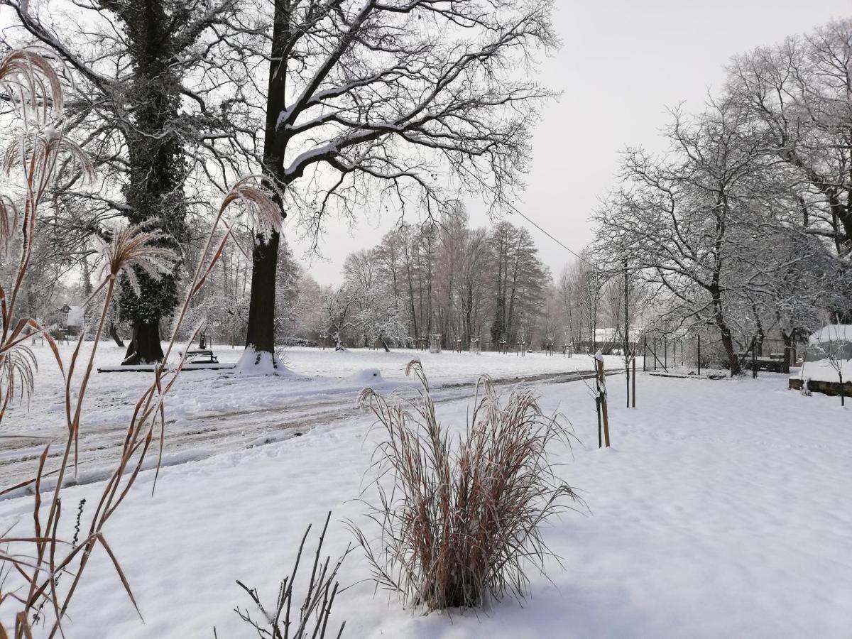Gruener Wald Apartment Burg Kauper Bagian luar foto